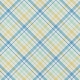 Fisher Paper 056 Plaid