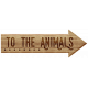 Animal Kingdom- To The Animals Arrow