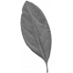 Leaves No.10 – Leaf 02 Template