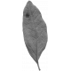 Leaves No.10 – Leaf 04 Template