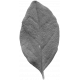 Leaves No.10 – Leaf 06 Template