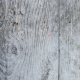 Textures No.5: Wood Texture 06