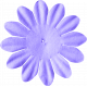 ps_paulinethompson_SLSB_flower 1-6