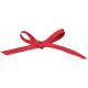 Day of Thanks- Red Bow