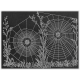 In The Moonlight- Spider Webs Ephemera