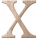 Organized Mess- Alphabet Kit- Lowercase X