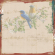 Blended Bird Background #5