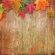 Fall Wonder Paper 1