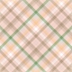 Frenchy Plaid Paper 09