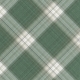 Warm n Woodsy Plaid Paper 06