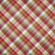 Mulled Cider Plaid Apple Paper