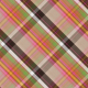 Sweet Autumn Plaid Paper 13