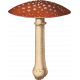 An Autumn To Behold Mushroom