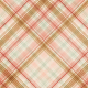 Summer Tea Plaid Paper 05