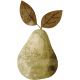 Perfect Pear- Pear Sticker 03