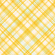 Old Fashioned Summer Plaid Paper 07