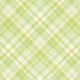 Old Fashioned Summer Plaid Paper 10