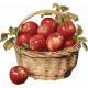 Charlotte&#039;s Farm Apples Basket 2