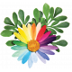 Color Your World_Rainbow Daisy Cluster