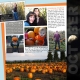 October Pumpkin Farm