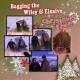 Bagging the Wiley &amp; Elusive Christmas Tree