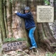 The Cedar Tree of Life