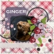 Ginger