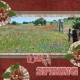 Wild Spring (pbs)