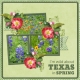I&#039;m wild about TEXAS in SPRING (WD)