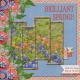 Brilliant Spring! (RMartin)