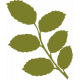 Leafy Branch Illustration- Template 10